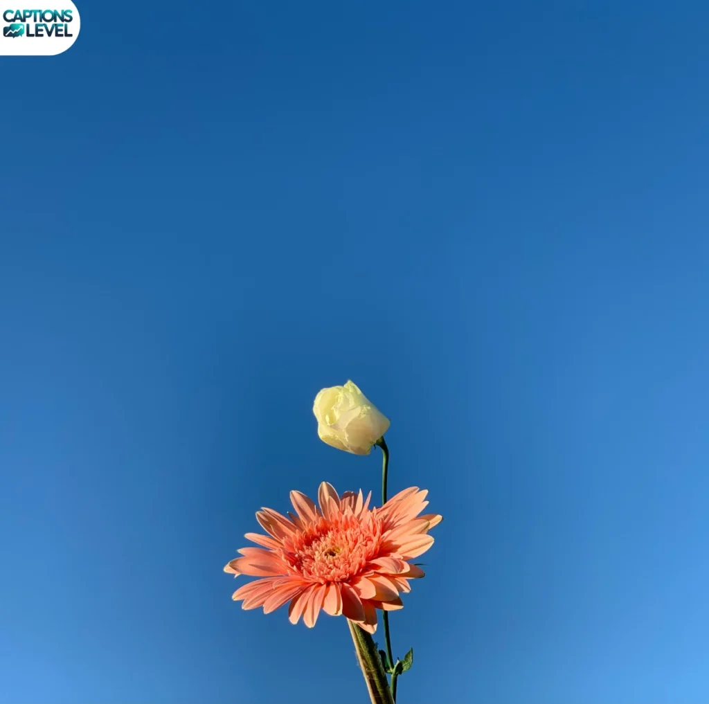 Beautiful Blue Sky Captions in English