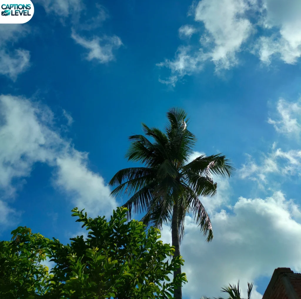 Best Aesthetic Blue Sky Captions for Your Feed