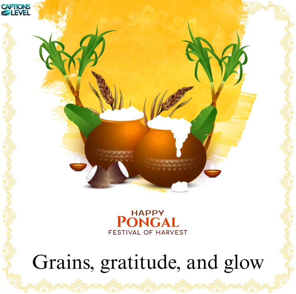 Pongal and Harvest Festival Captions