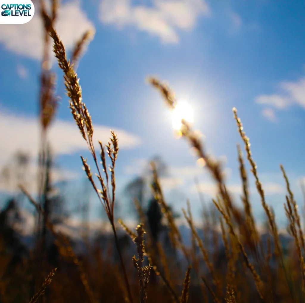 Relaxing Blue Sky Captions for Peaceful Vibes