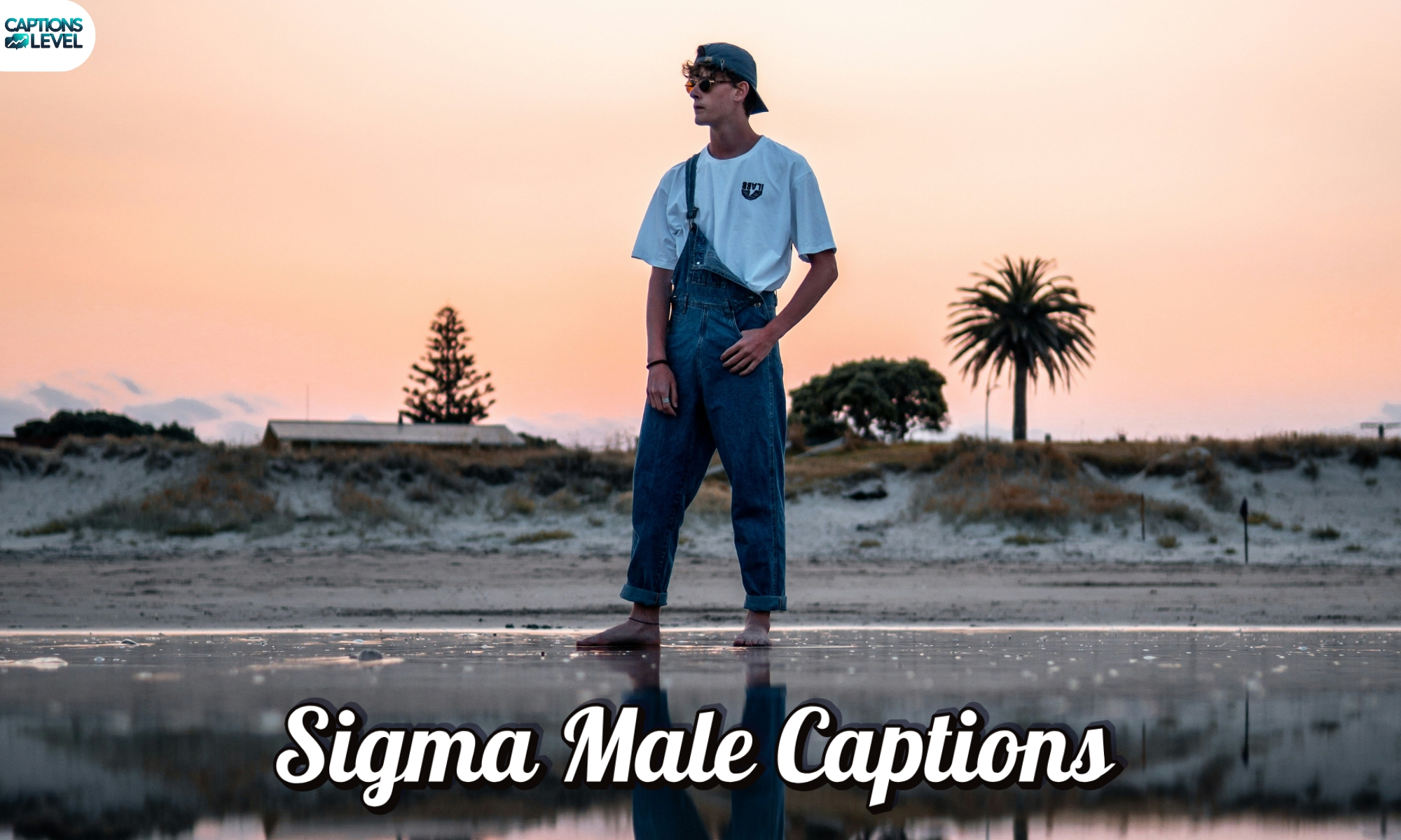 Sigma Male Captions