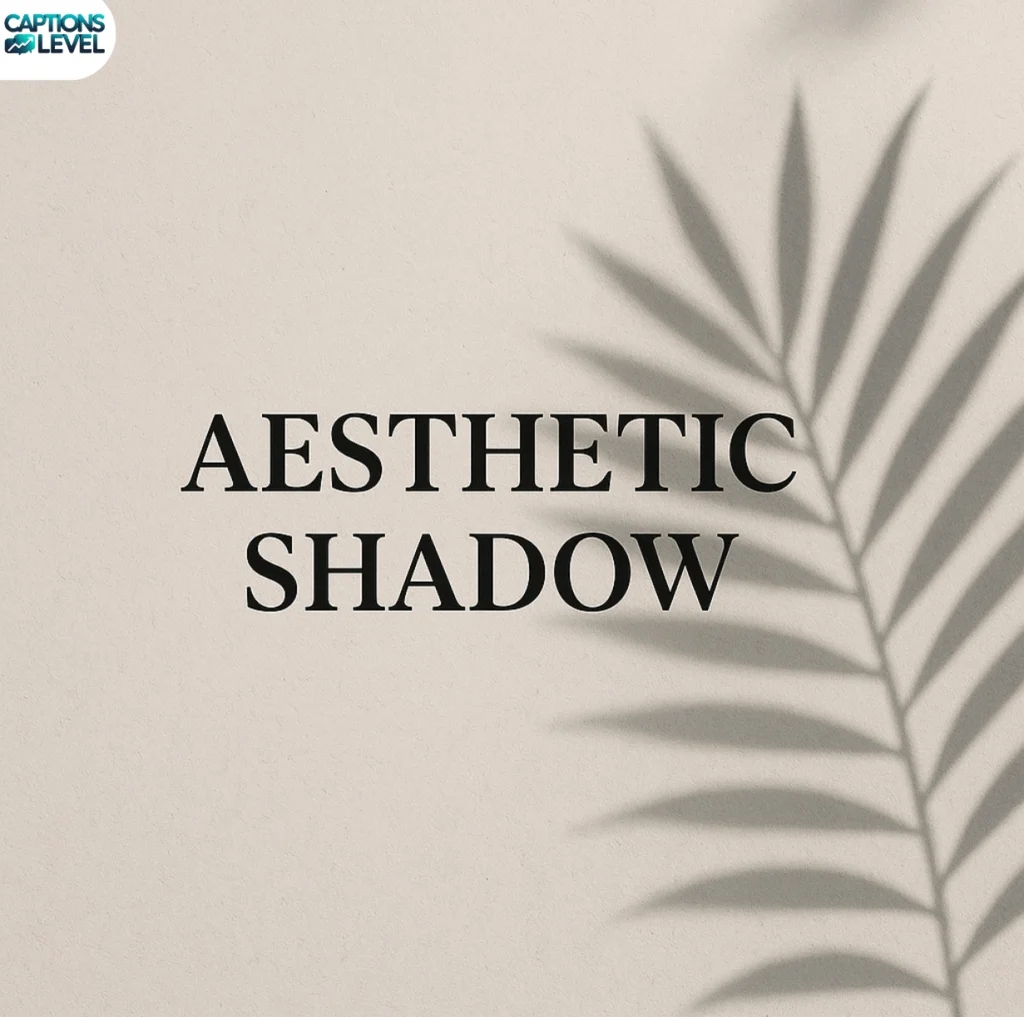 Aesthetic Shadow Captions